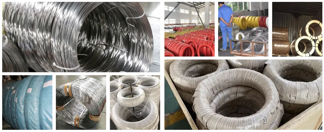 Q195 SAE1006 SAE1008 Low Carbon Steel Ms Wire Rod ASTM GB JIS DIN AISI BS Low Corban Steel Wire Supplier 1mm 2mm 3mm 4mm Spring Steel Rod/Wire